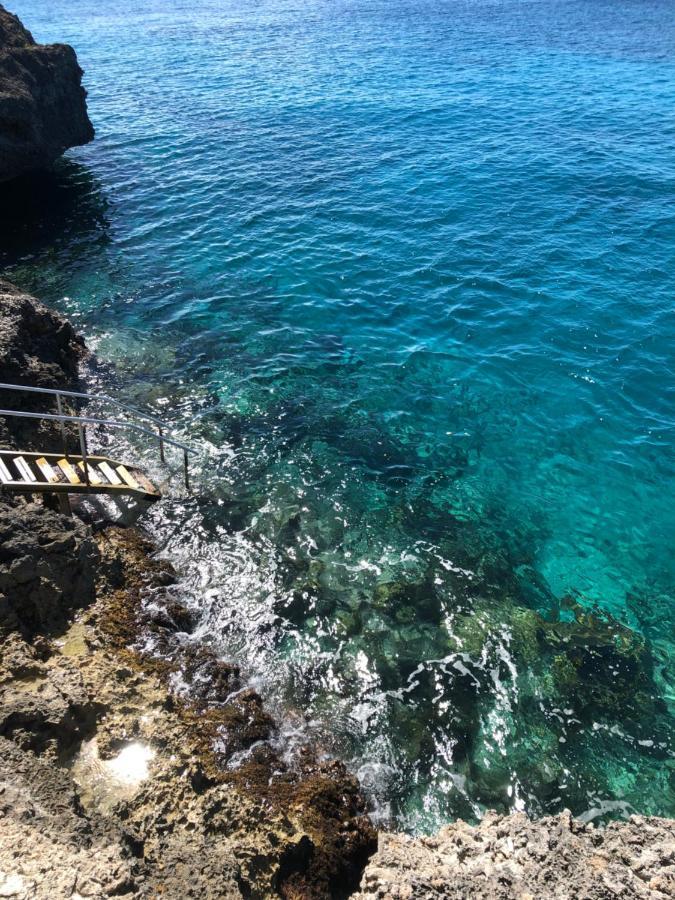 Marazul Dive Resort. 3 Bedroom Seafront House. Dive, Snorkel, Enjoy Amazing Sunsets Westpunt Dış mekan fotoğraf